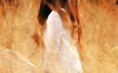 野花资源在线观看视频